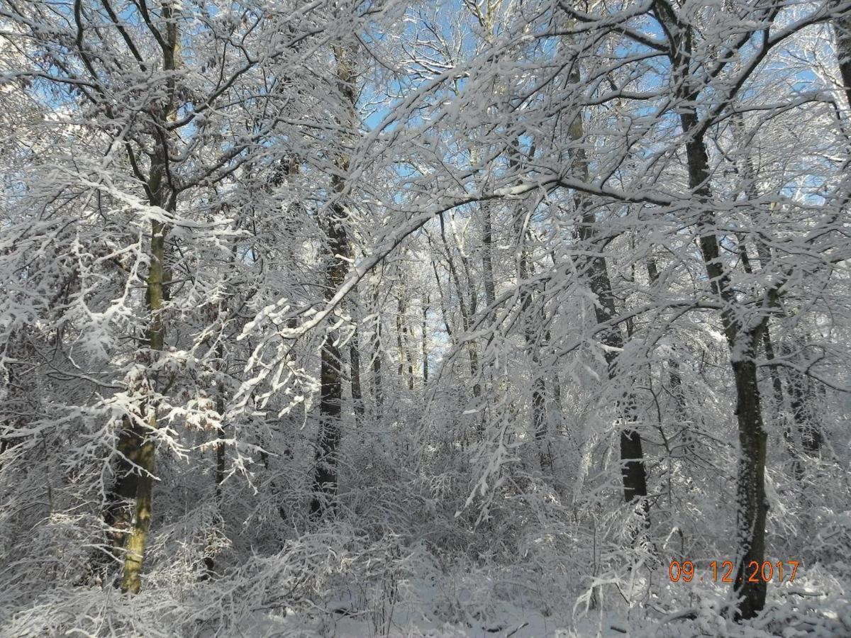 Gite 3 Frontieres Hagenthal-le-Bas Bagian luar foto