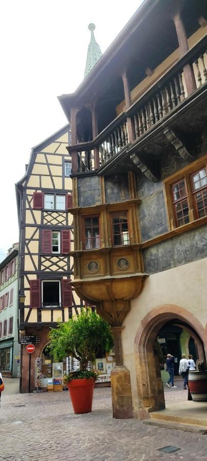 Gite 3 Frontieres Hagenthal-le-Bas Bagian luar foto
