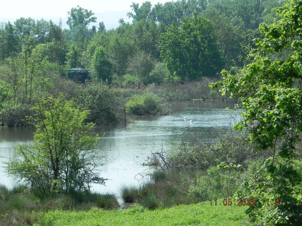 Gite 3 Frontieres Hagenthal-le-Bas Bagian luar foto