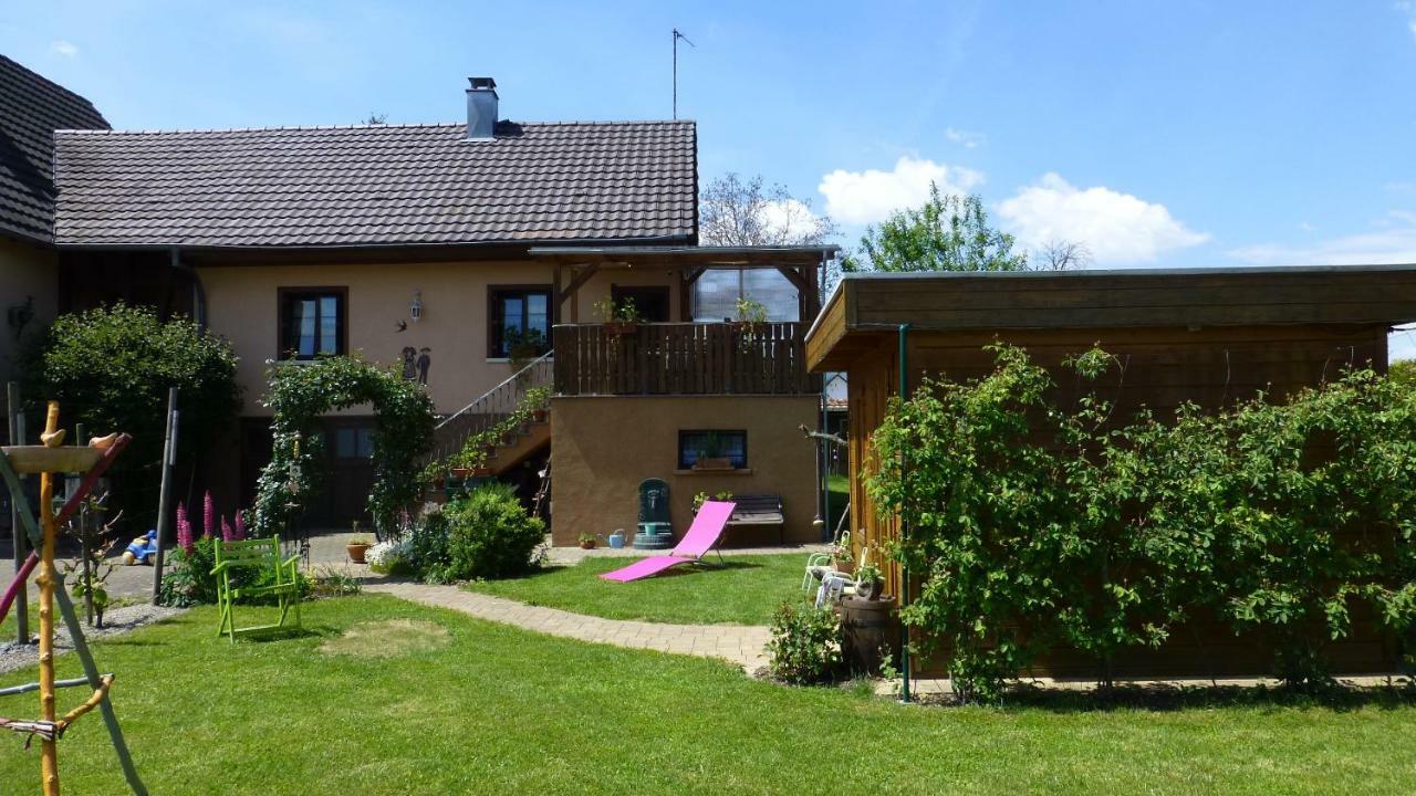 Gite 3 Frontieres Hagenthal-le-Bas Bagian luar foto